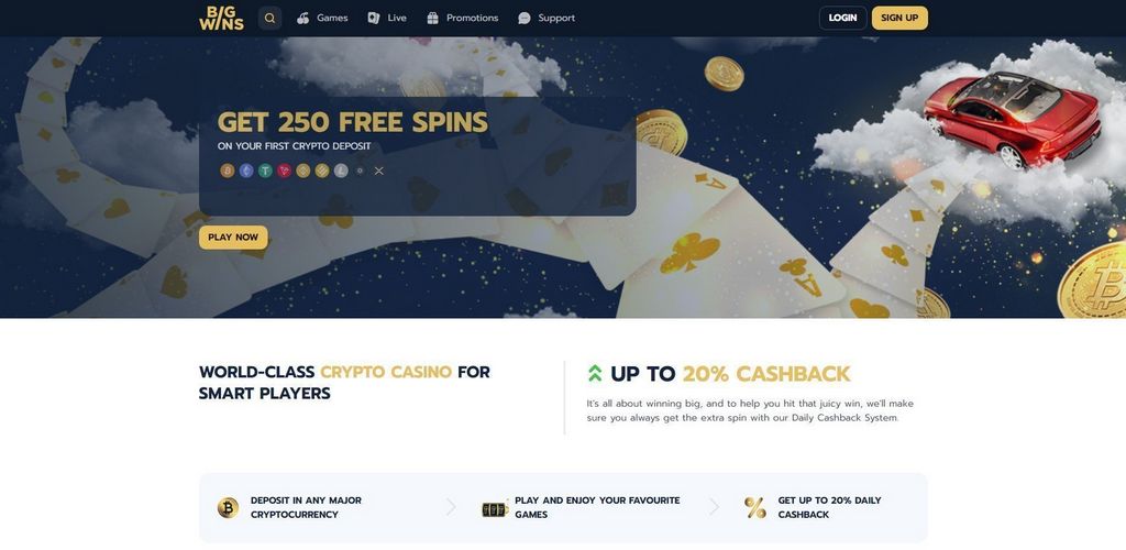 BigWin Casino (2025) - Gamer Rankings & Our Judgment